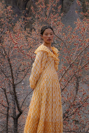 Pari Maxi Dress ~ Honey